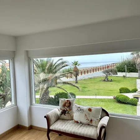 Dardan * Estepona